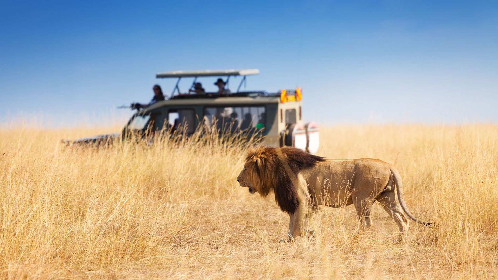 Cruise-Safaris-About-Us
