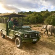 Pumba private game reserve. Self Drive to your destination is a great way to explore your Day Safari