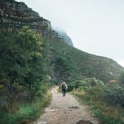 lions head gravel path