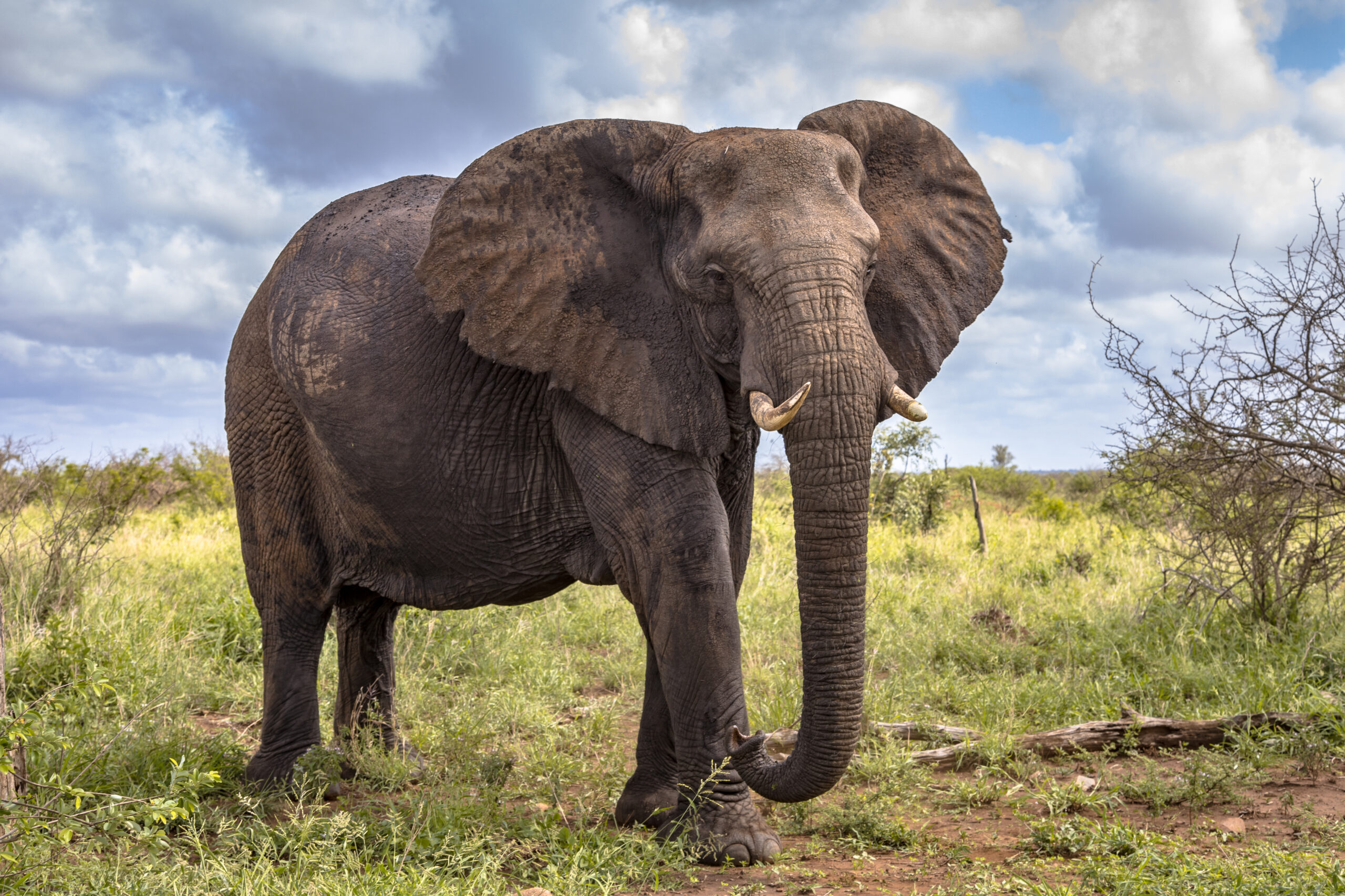 Sibuya Game Reserve