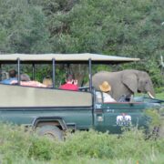 sibuya game reserve Safari Drive